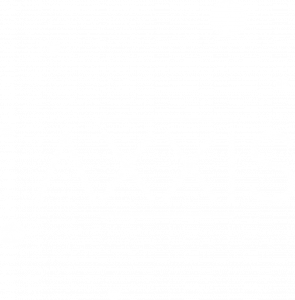 Logo constellation blanc AXXIS